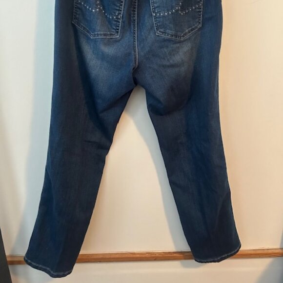 INC International Concept Woman 5 pocket straight slim tech fit denim, size 16WP - Picture 2 of 6